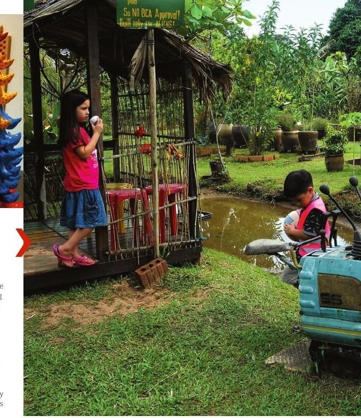 Bollywood Veggies farmstay and the Sungei Buloh Wetland Reserve